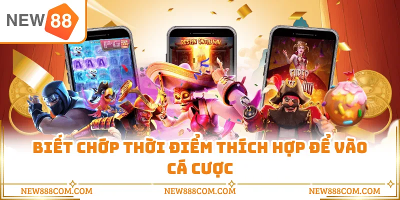 Biết chớp thời điểm thích hợp để vào cá cược