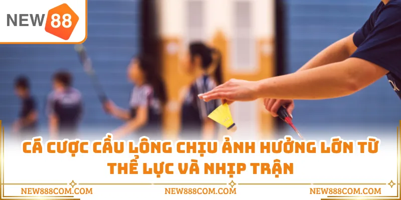 Cá cược cầu lông chịu ảnh hưởng lớn từ thể lực và nhịp trận