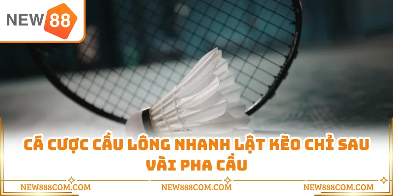 Cá Cược Cầu Lông Nhanh Lật Kèo Chỉ Sau Vài Pha Cầu