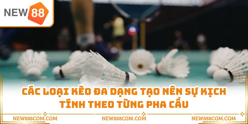 Các loại kèo đa dạng tạo nên sự kịch tính theo từng pha cầu