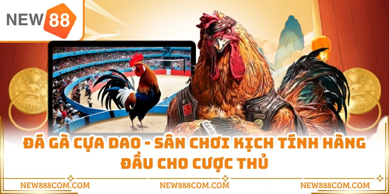 Đá Gà Cựa Dao - Sân Chơi Kịch Tính Hàng Đầu Cho Cược Thủ