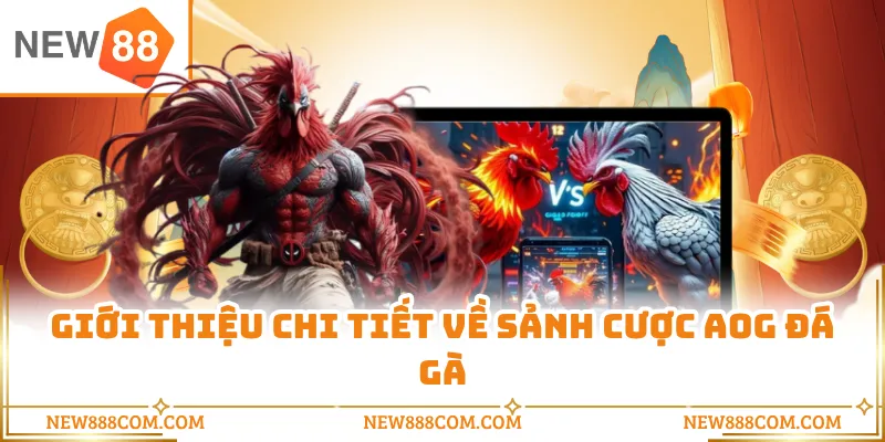 Giới thiệu chi tiết về sảnh cược AOG đá gà