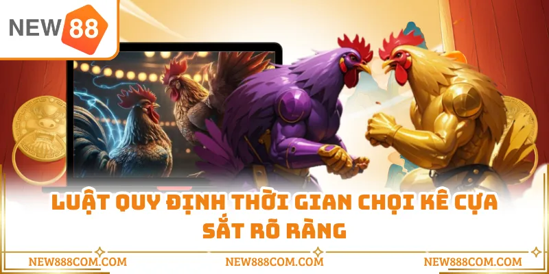 Luật quy định thời gian chọi kê cựa sắt rõ ràng