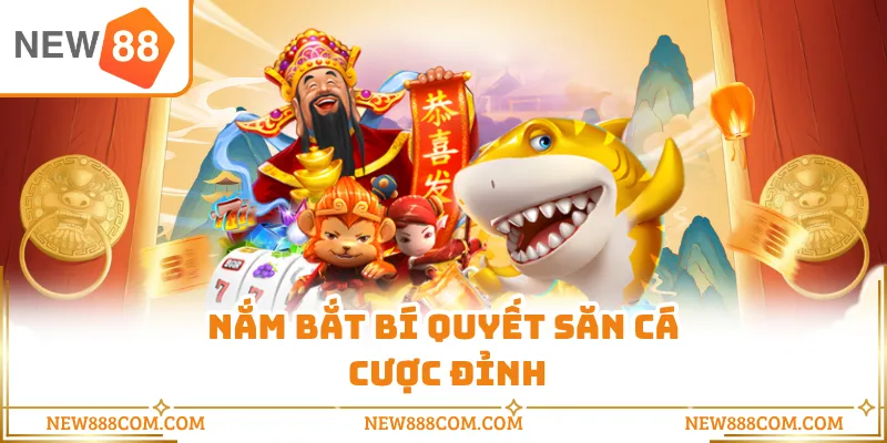 Nắm bắt bí quyết săn cá cược đỉnh