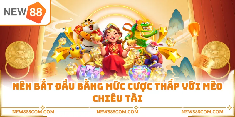 Tìm hiểu chi tiết về game mèo chiêu tài