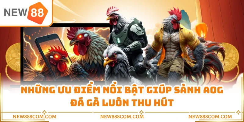 Những ưu điểm nổi bật giúp sảnh AOG đá gà luôn thu hút