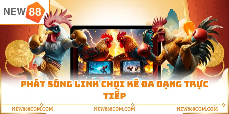 Phát sóng link chọi kê đa dạng trực tiếp