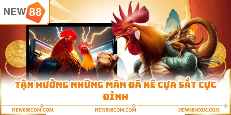Tận hưởng những màn đá kê cựa sắt cực đỉnh