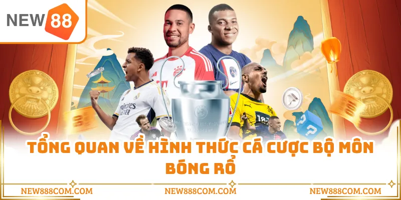 Tổng quan về hình thức cá cược bộ môn bóng rổ